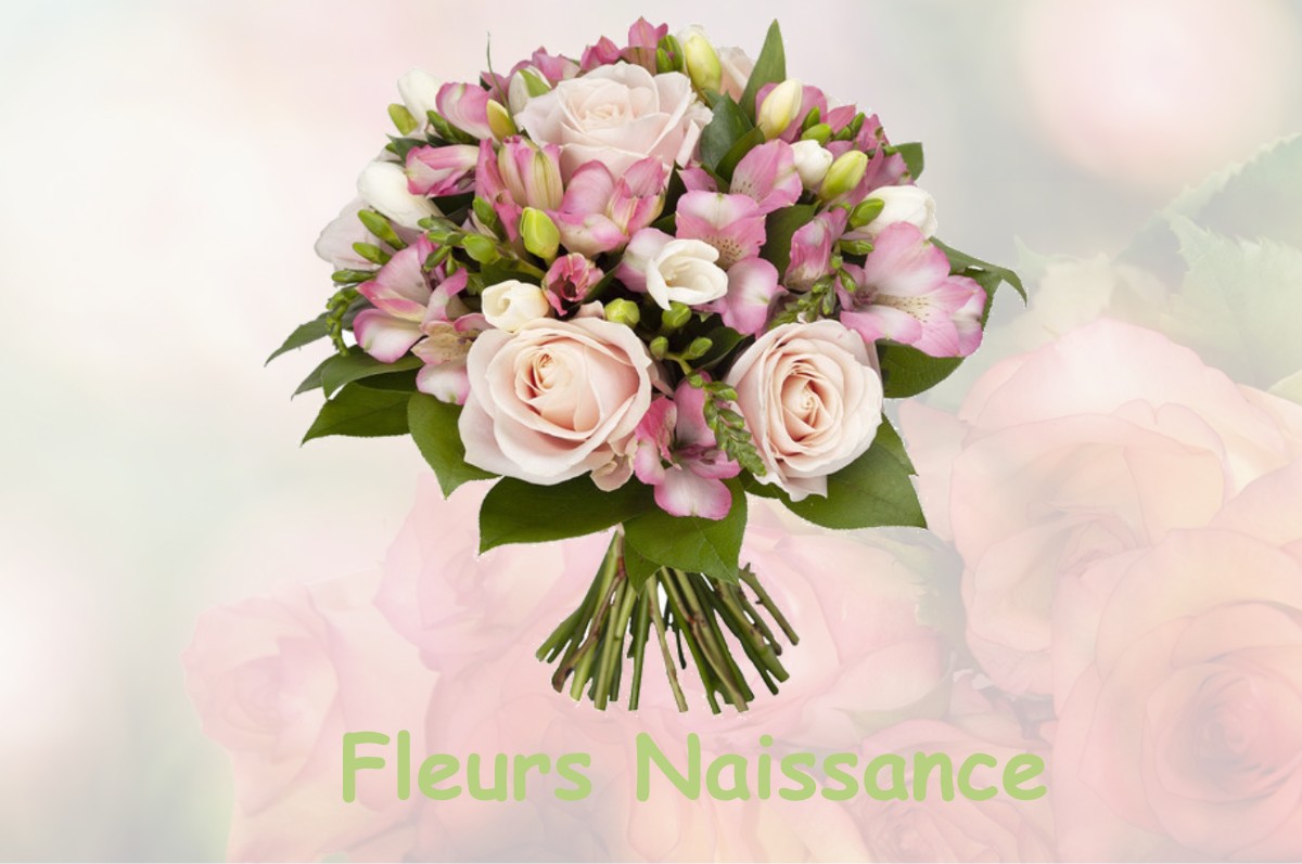 fleurs naissance MOUSSEAUX-NEUVILLE
